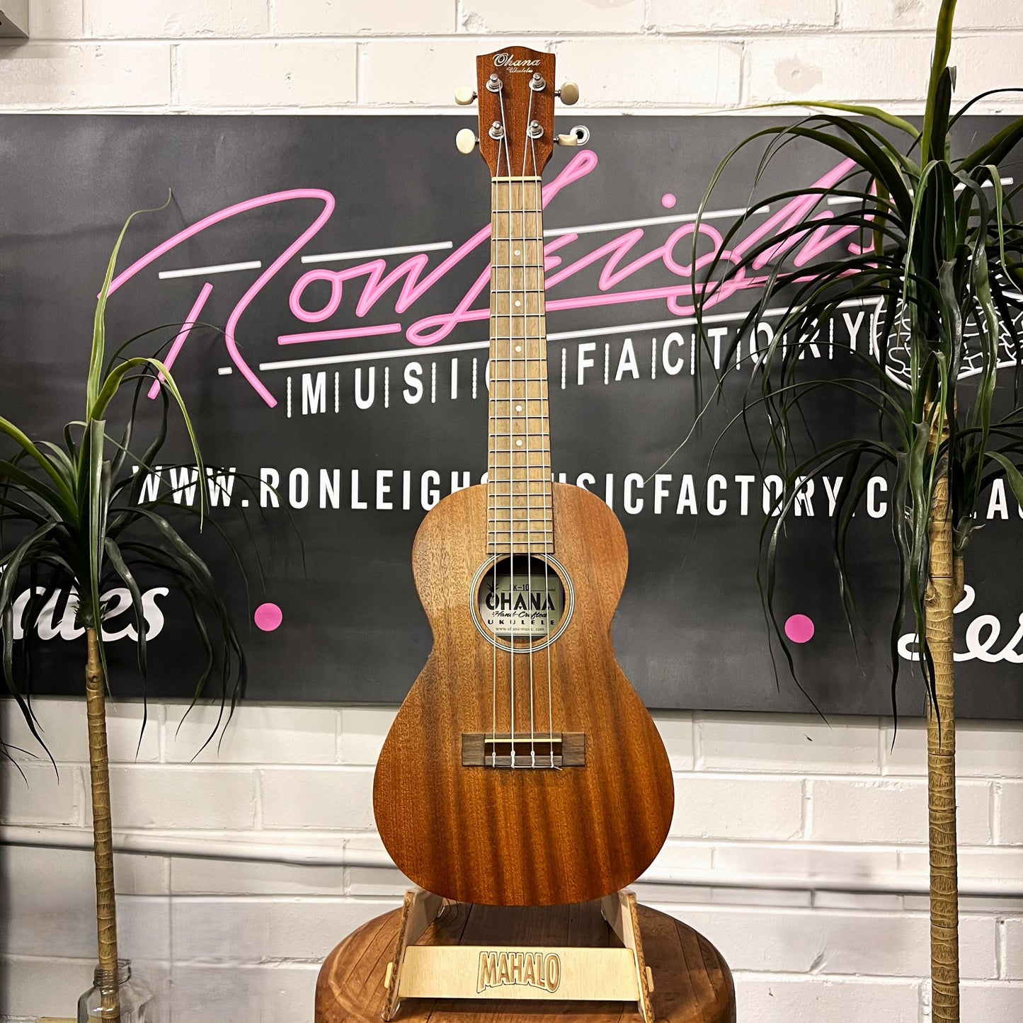 OHANA Mahogany Ukulele - Concert
