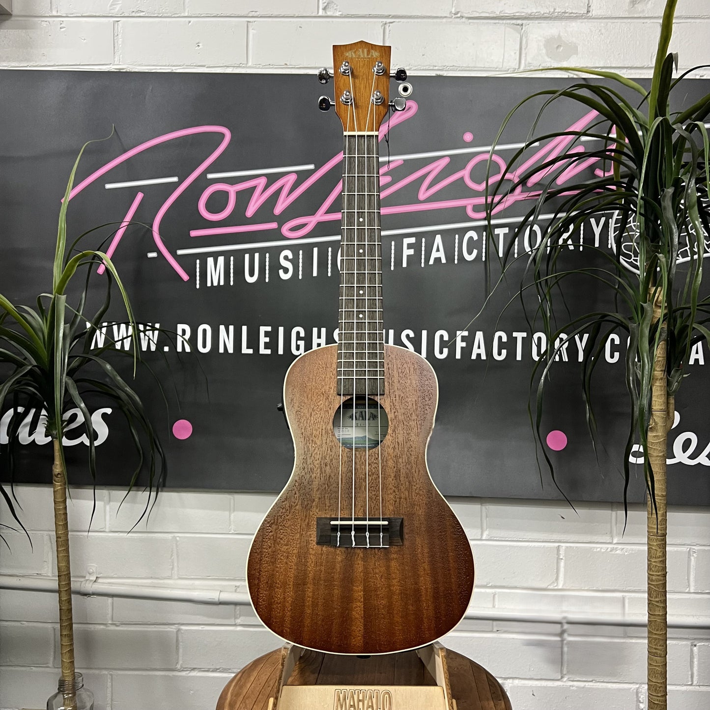KALA KA-CE Concert Acoustic / Electric Ukulele - Satin Mahogany