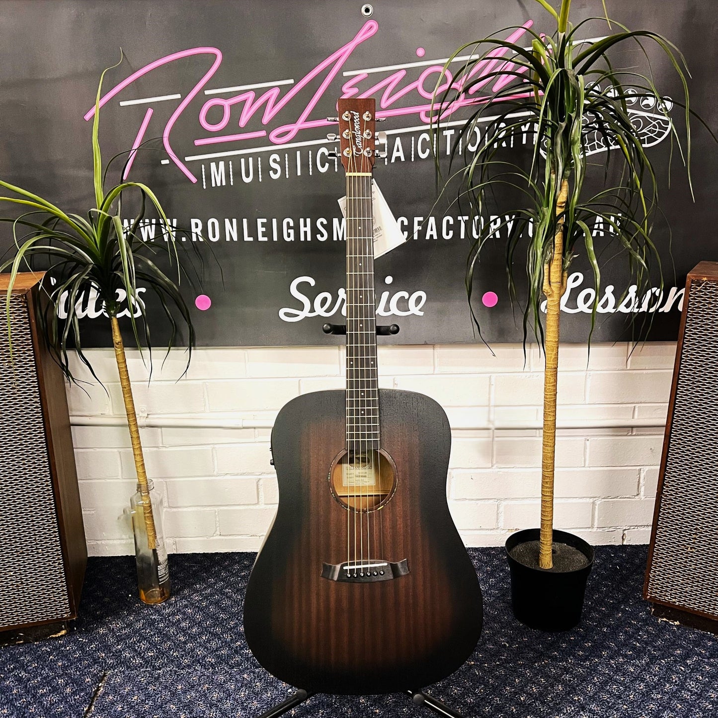 TANGLEWOOD Crossroads Acoustic / Electric Dreadnaught Guitar