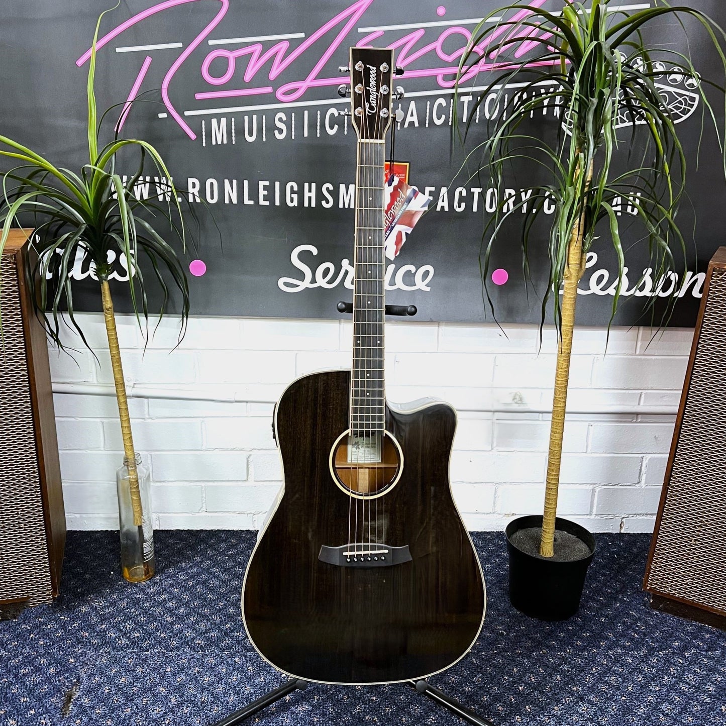 TANGLEWOOD Winterleaf Cutaway Dreadnaught Acoustic / Electric Guitar