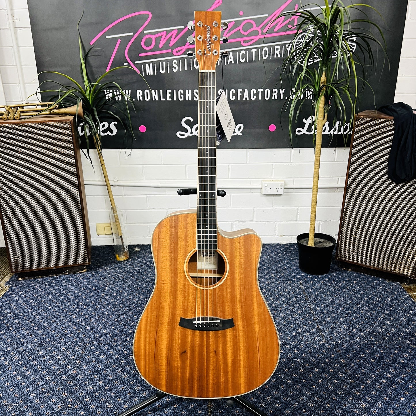 Tanglewood TWUDCE Union Solid Top Dreadnought C/E