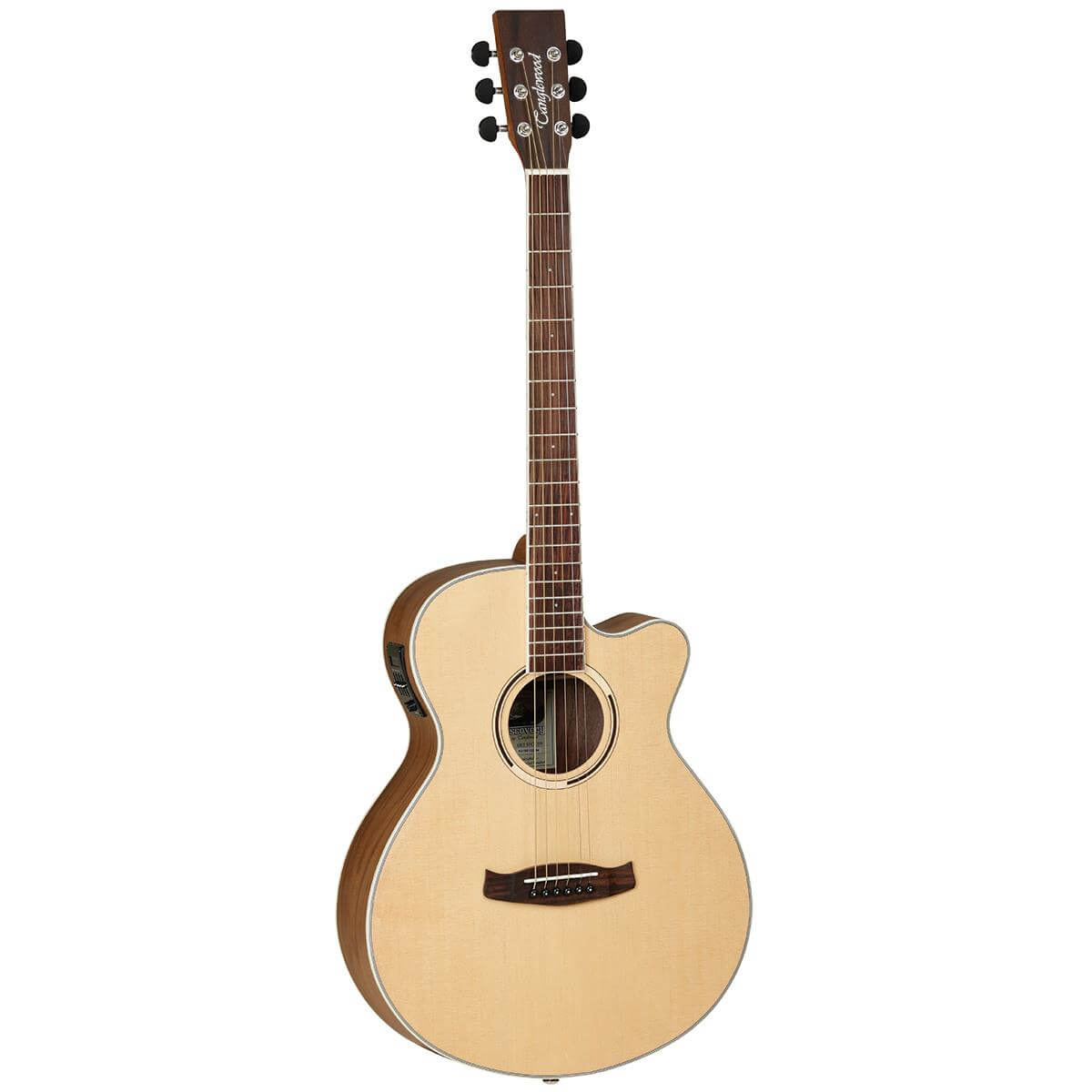 TANGLEWOOD Discovery Cutaway Super Folk Acoustic / Electric Guitar - Black Walnut