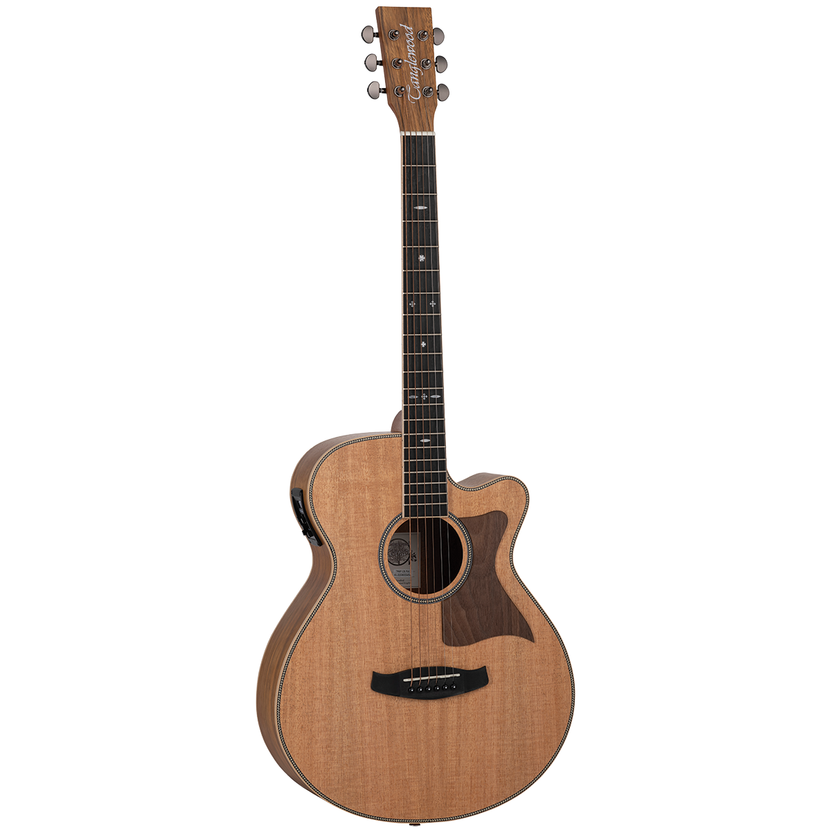 TANGLEWOOD Reunion Pro Super Folk Cutaway Acoustic ?Electric Guitar