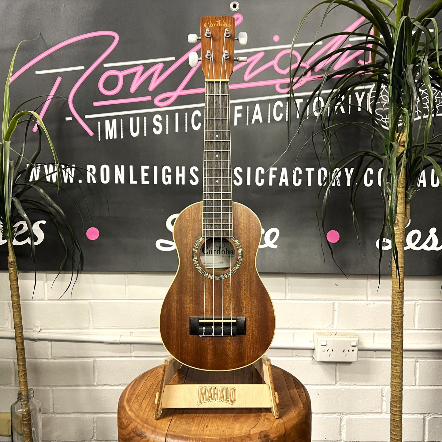 CORDOBA 15SM Soprano Ukulele - Mahogany