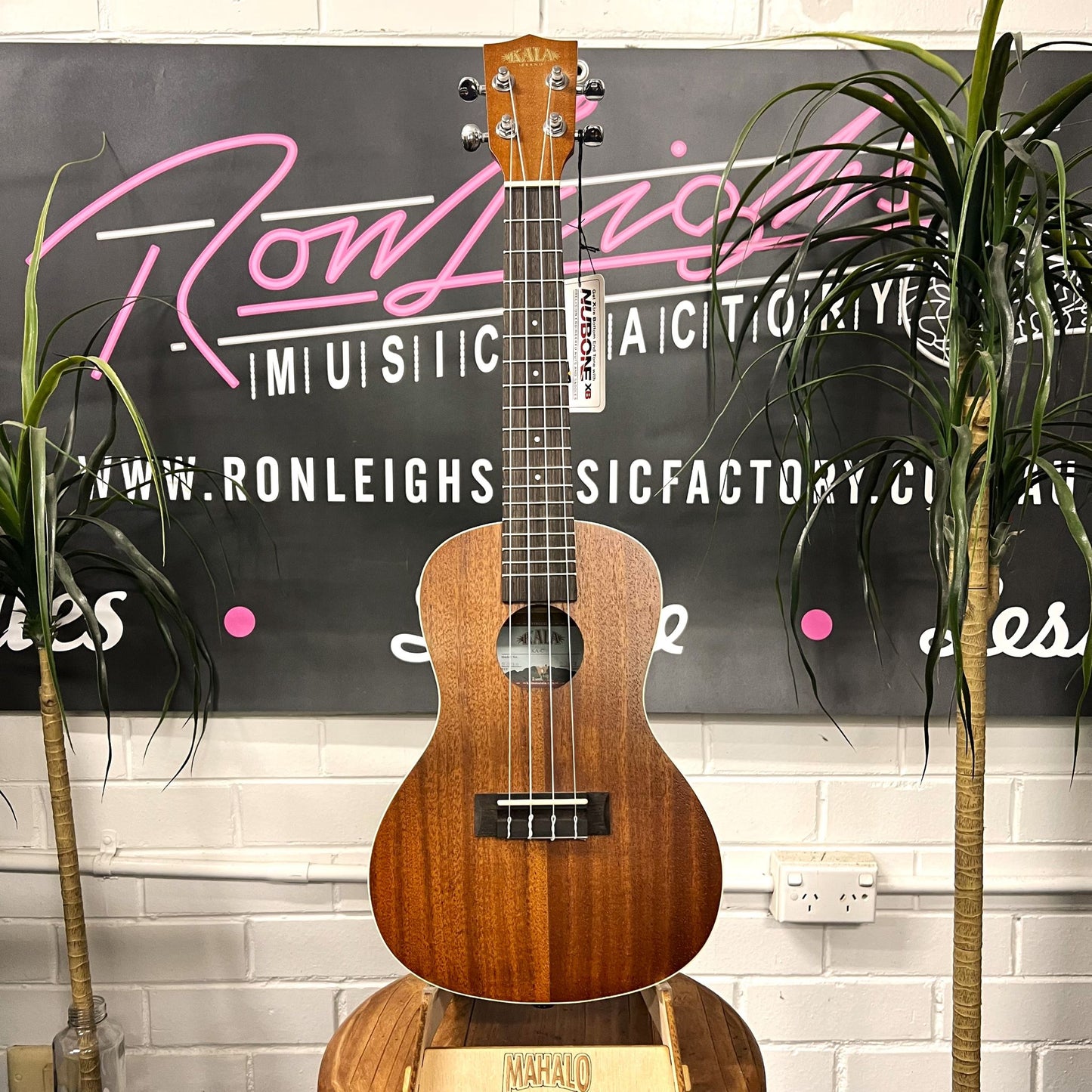 KALA KA-C Concert Ukulele - Mahogany