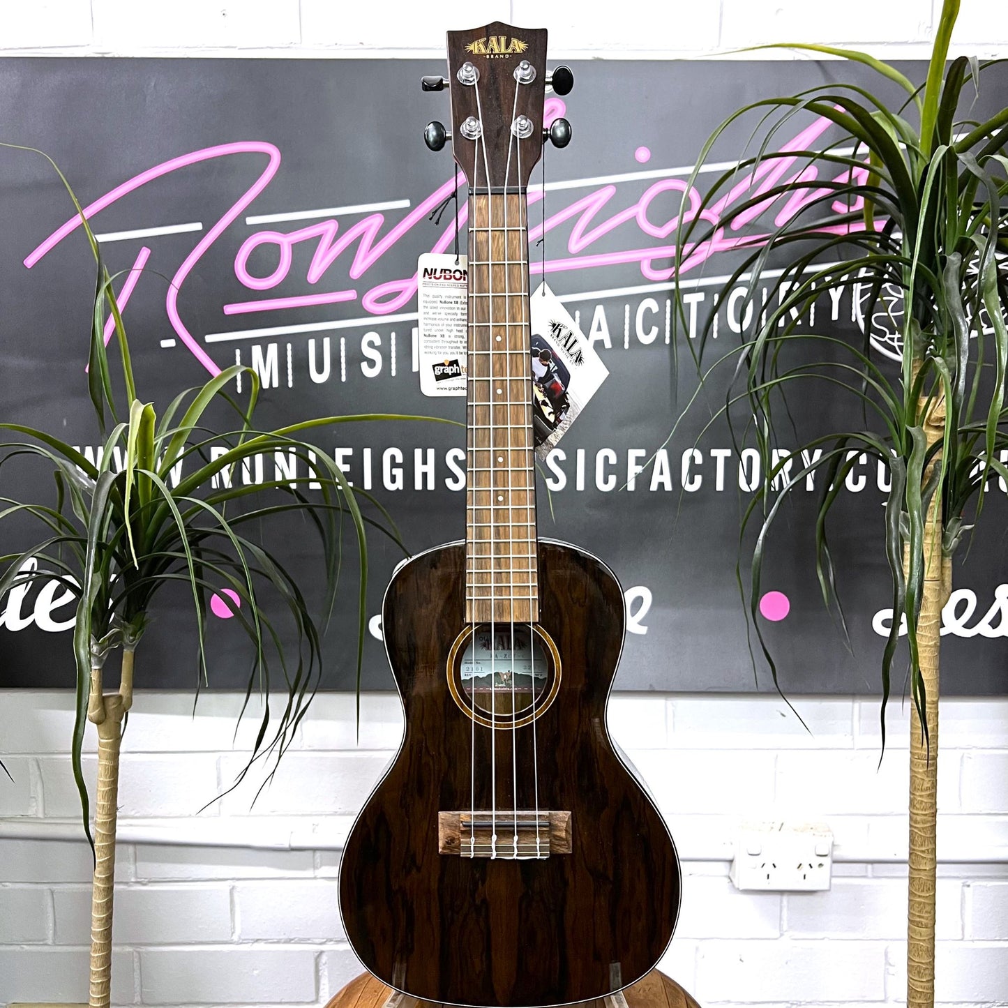 KALA Concert Ukulele - Zircote