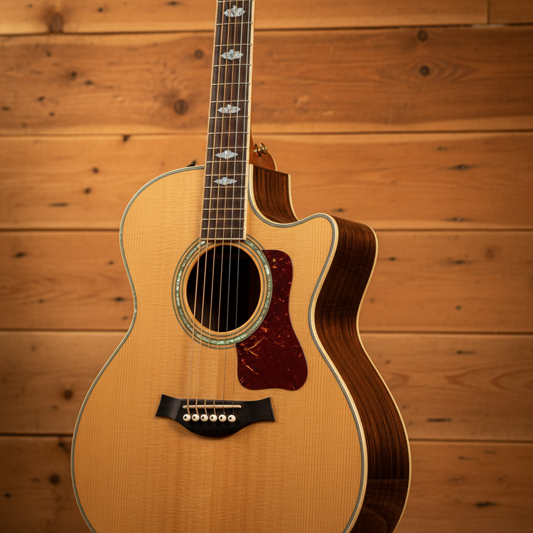 Acoustic Guitars