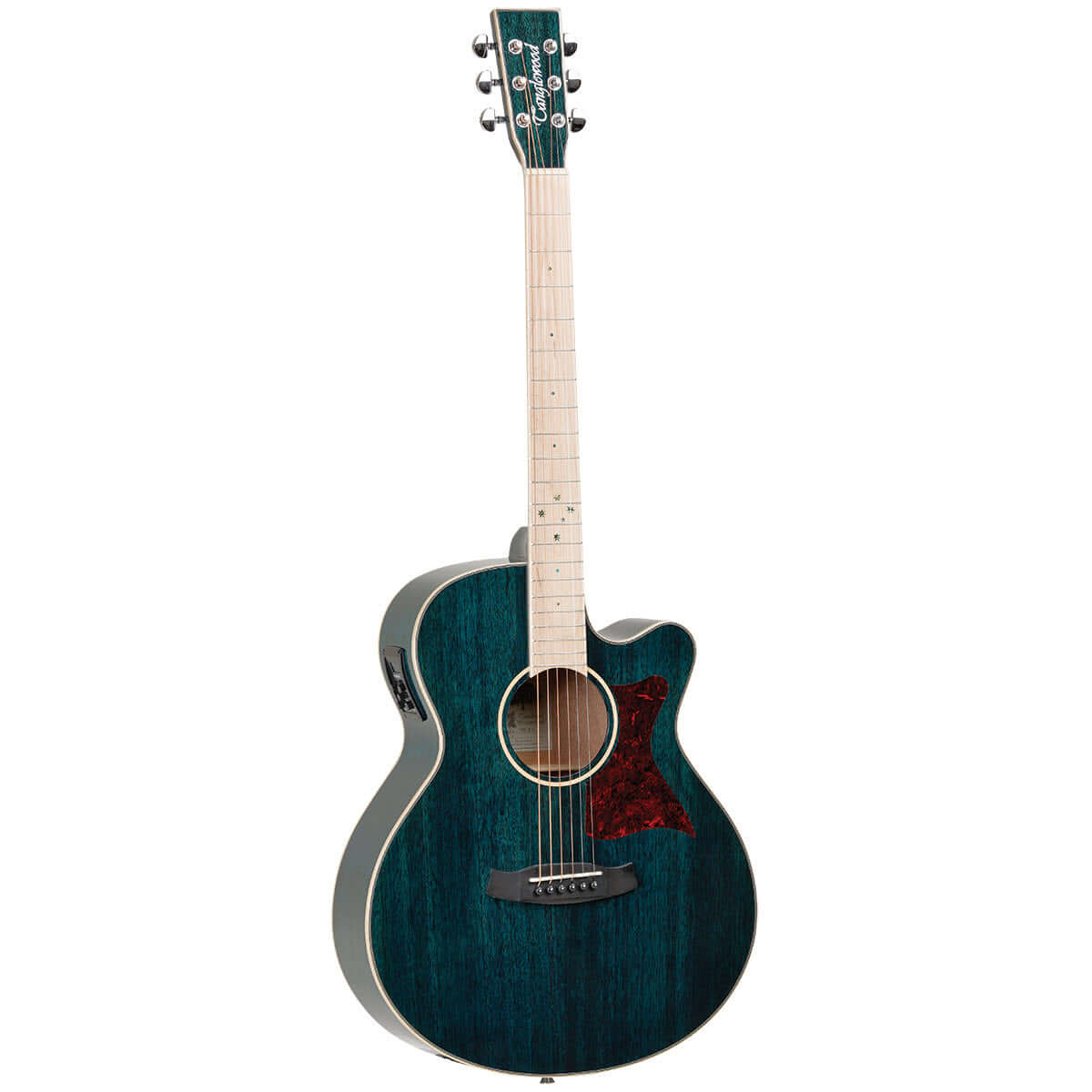 TANGLEWOOD Winterleaf Cutaway Super Folk Acoustic / Electric Guitar