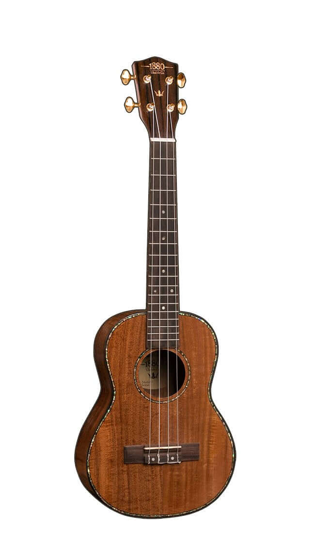 1880 300 Series Ukulele - Concert