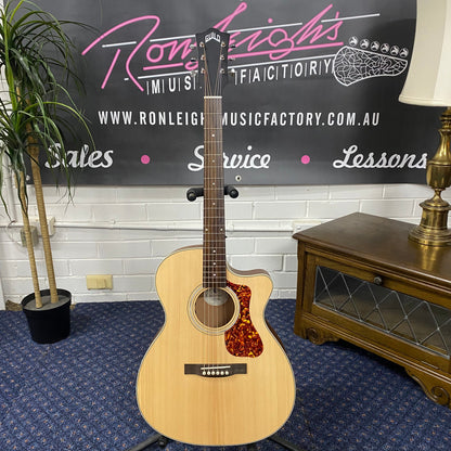 Acoustic guitar 