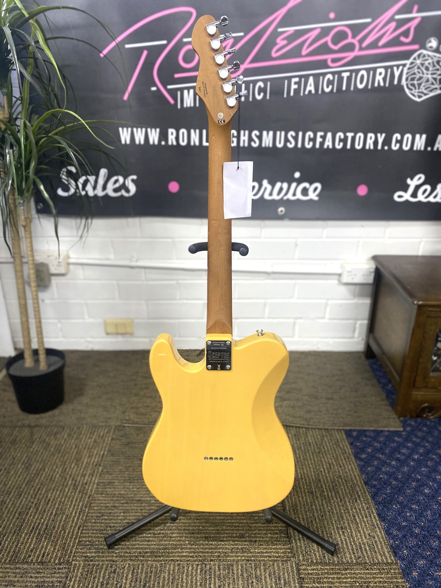 LEVINSON Sceptre Arlington Standard Single Cutaway - Blonde