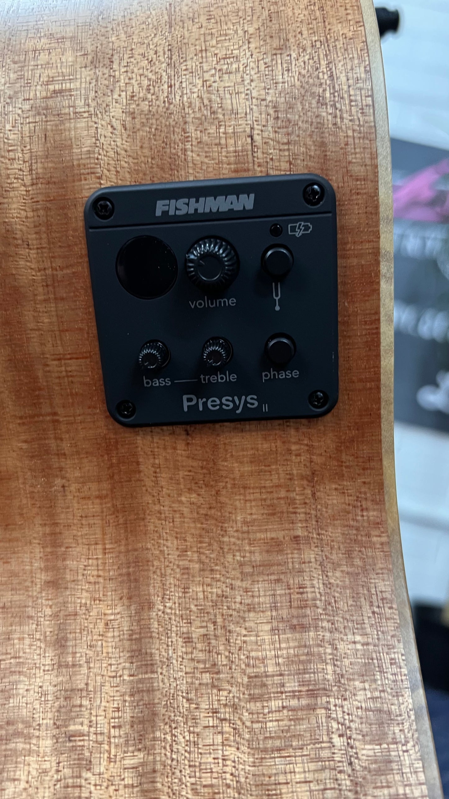 PRATLEY Entertainer OM All Solid Maple/Bunya Acoustic/ Elec Guitar