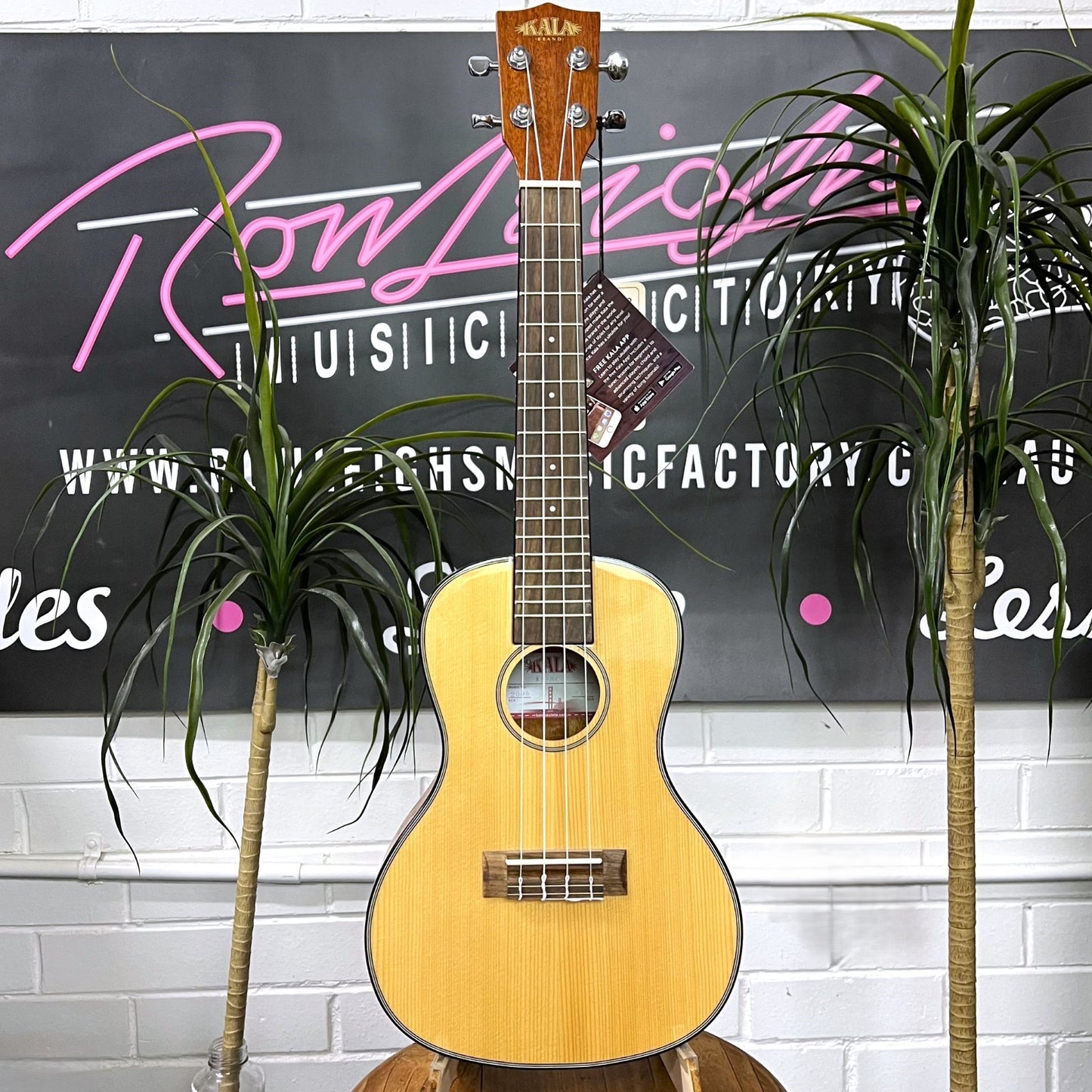 KALA Concert Ukulele - Spruce / Mahogany Gloss