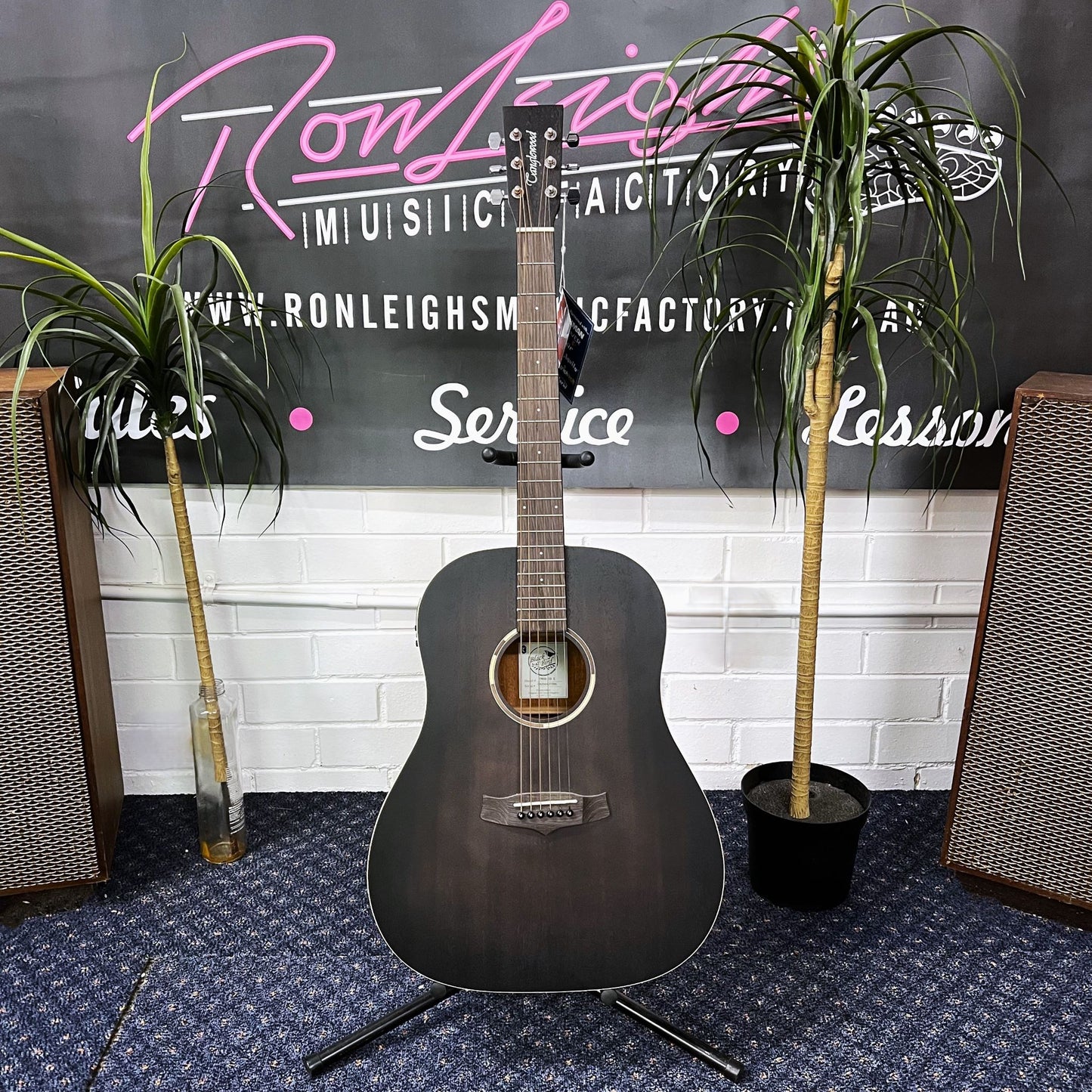 TANGLEWOOD Blackbird Sloped Shoulder Acoustic / Electric Guitar