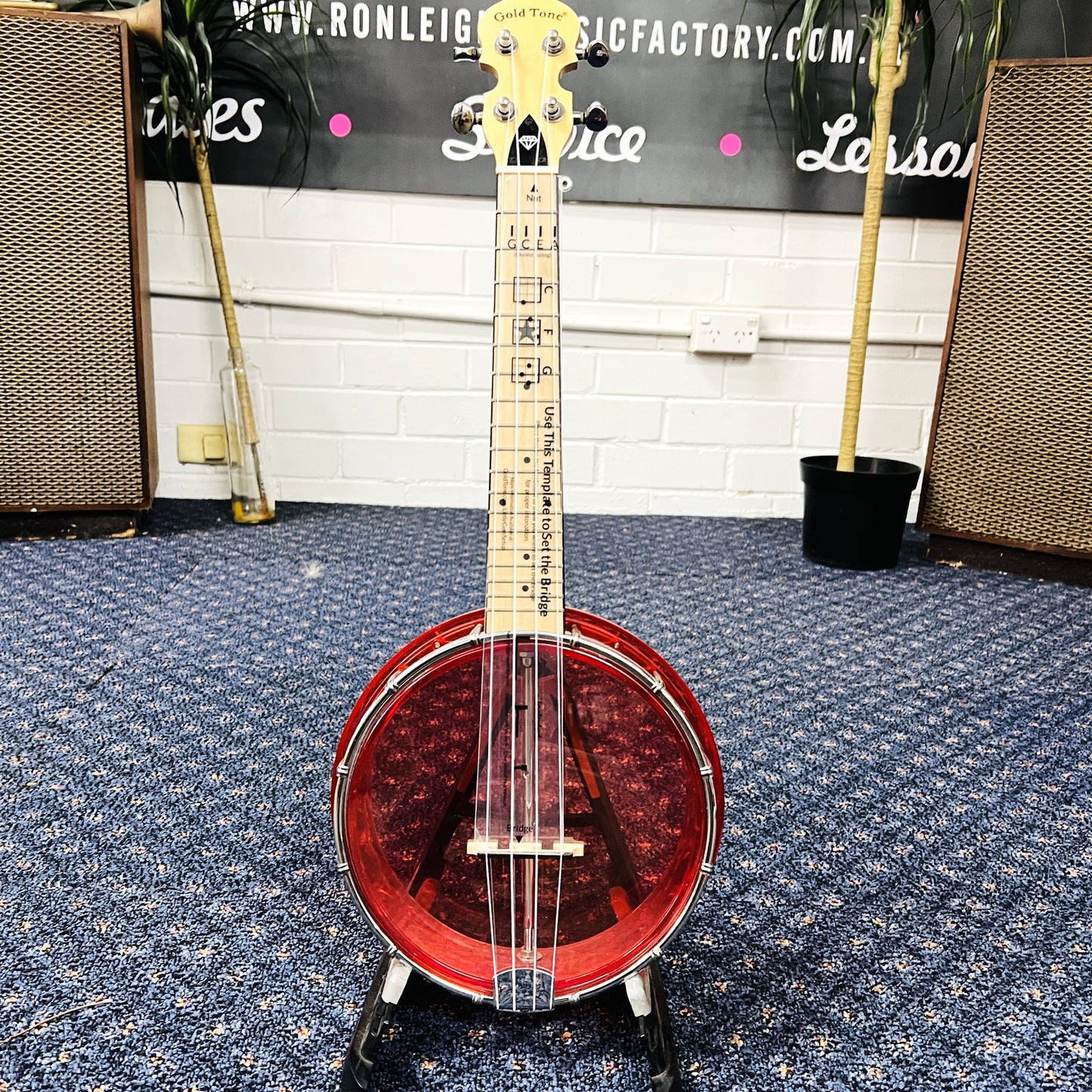 Gold Tone Littel Gem Banjo/Ukulele Ruby