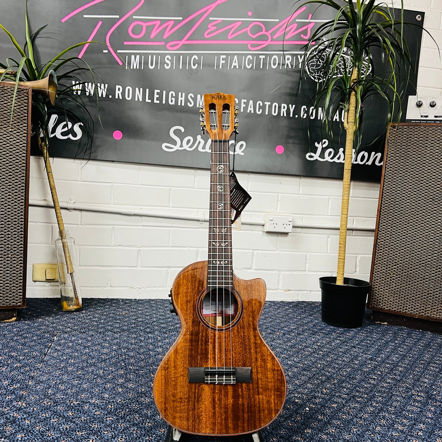 Kala KA-SAB-T-CE All Solid Australian Blackwood Tenor Ukulele | Acoustic-Electric Cutaway