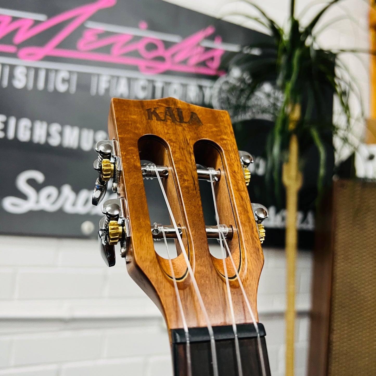 Kala KA-SAB-T-CE All Solid Australian Blackwood Tenor Ukulele | Acoustic-Electric Cutaway