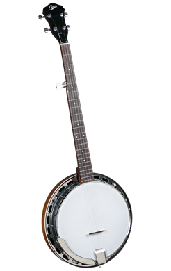 ROVER RB-25 5-STR BANJO W/RESONATOR