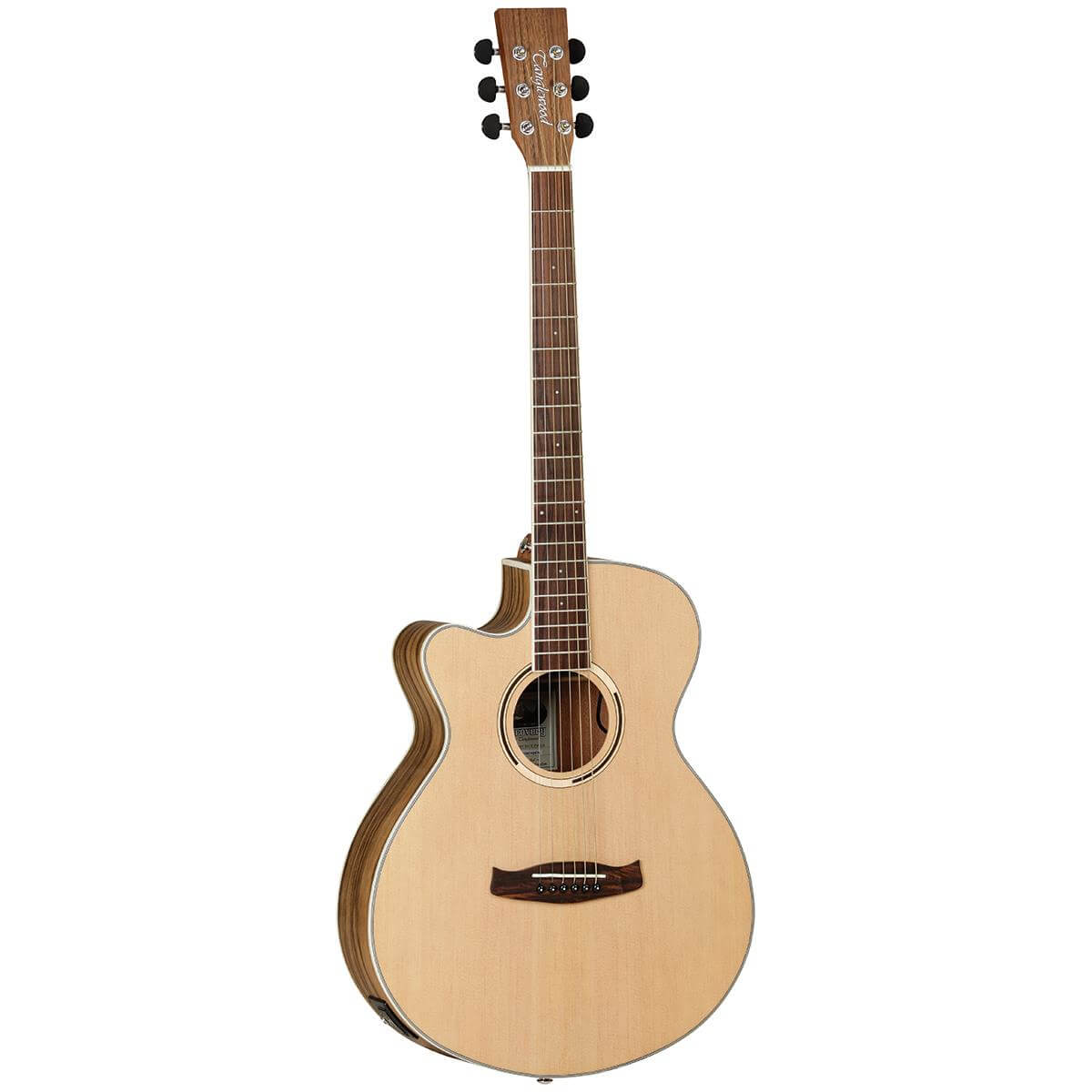 TANGLEWOOD Discovery Super Folk Acoustic / Electric Guitar Exotic Pacific Walnut