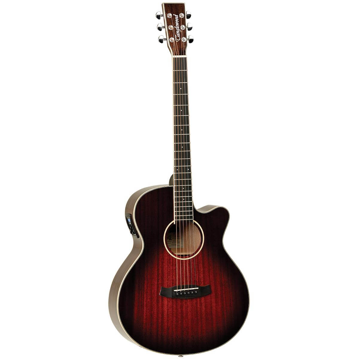 TANGLEWOOD Winterleaf  Cutaway Super Folk Acoustic / Electric Guitar