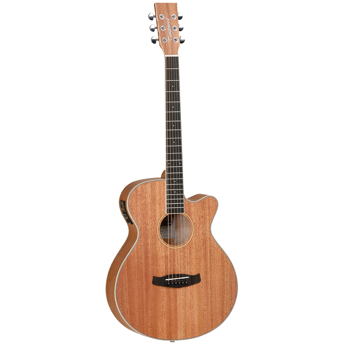 TANGLEWOOD Union Cutaway Super Folk Acoustic / Electric Guitar