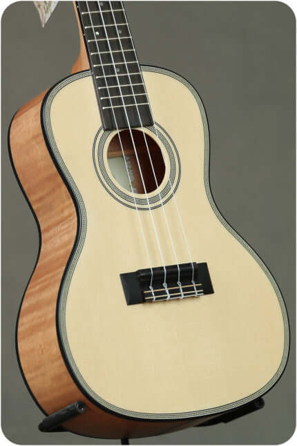 KALA Solid Top Exotic Mahogany Ukulele - Concert