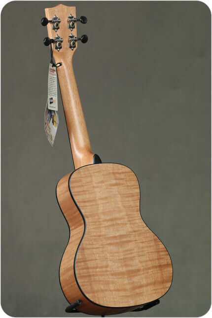 KALA Solid Top Exotic Mahogany Ukulele - Concert